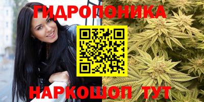 кокс Нягань