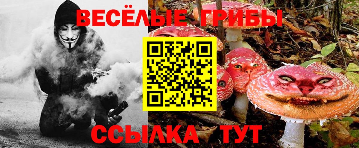 Галлюциногенные грибы прущие грибы Томск