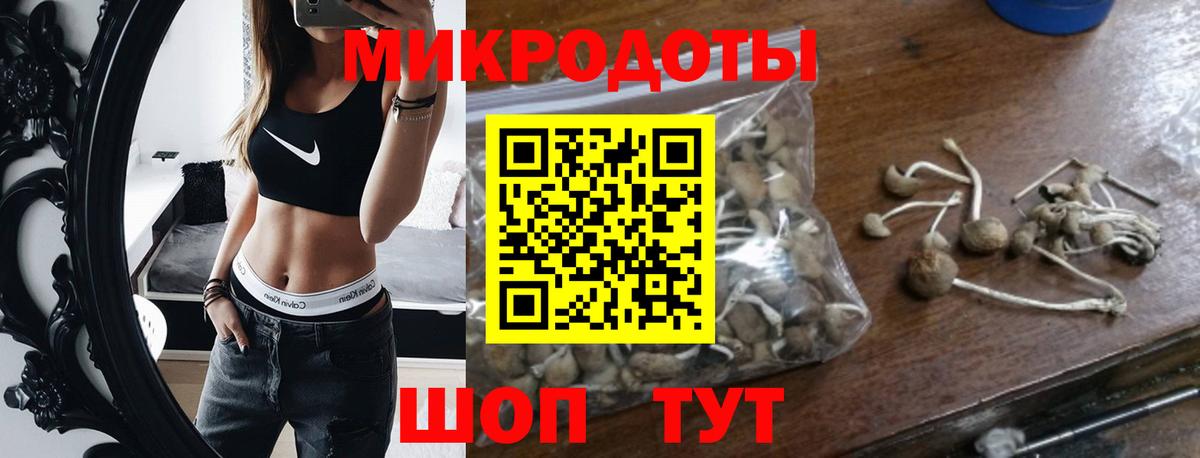 хочу наркоту  Псилоцибиновые грибы Psilocybine cubensis  Вход с VPN  Томск 